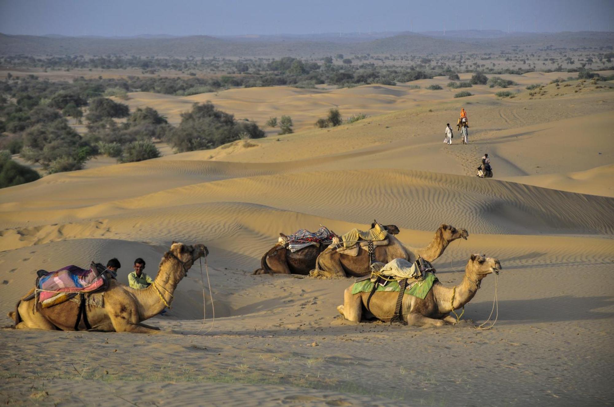 Hotel Royal Jaisalmer Exteriör bild
